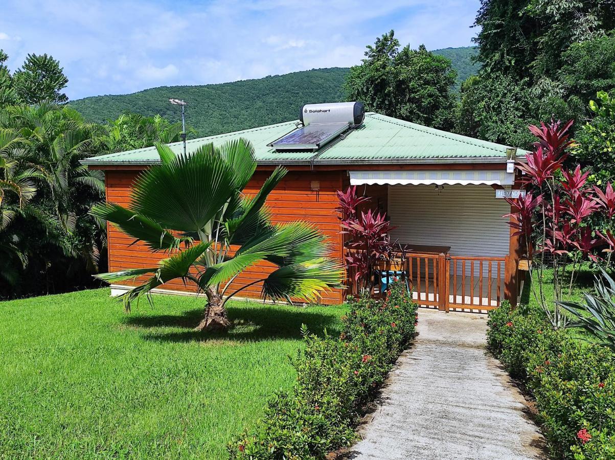 Le Tri Haut De Bellevue - Bungalow Colibri Pointe-Noire Exterior foto